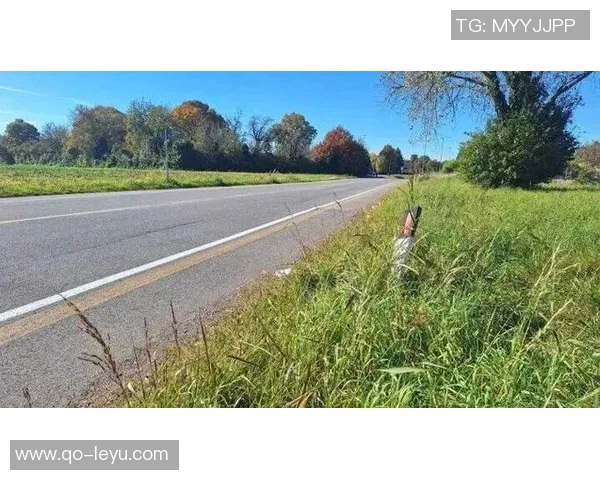 国米门将马丁内斯不幸撞死闯入车道老人事件引发关注